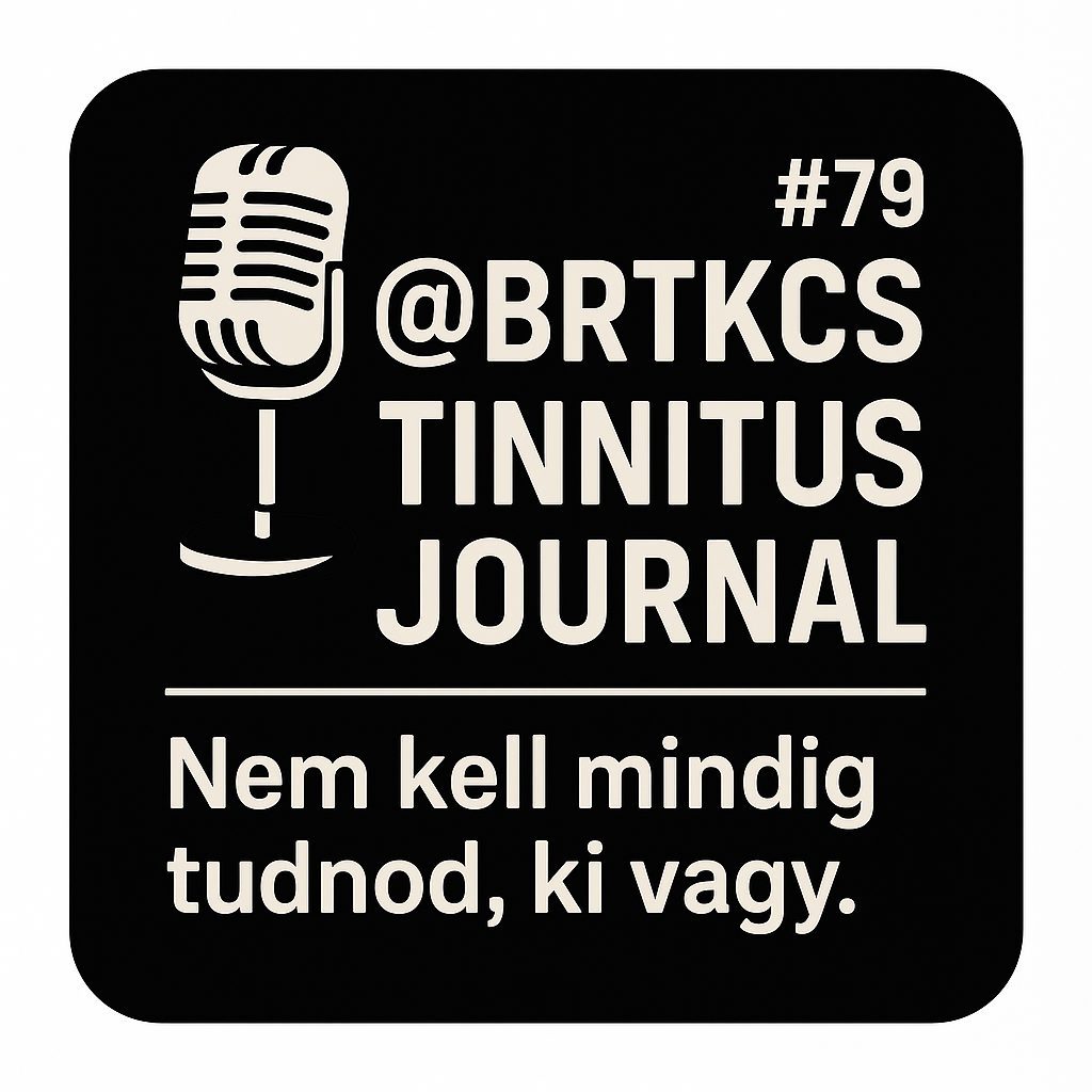 Tinnitus Napló