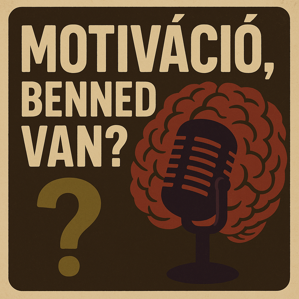 Tinnitus Napló