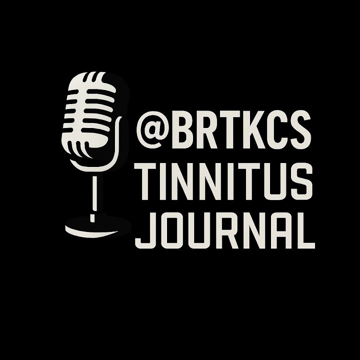 Tinnitus Napló